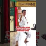 Powerful Okinawa Karate!