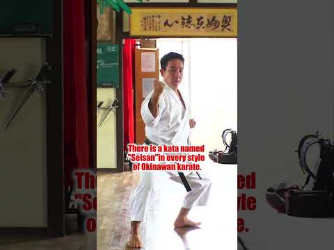 Powerful Okinawa Karate!