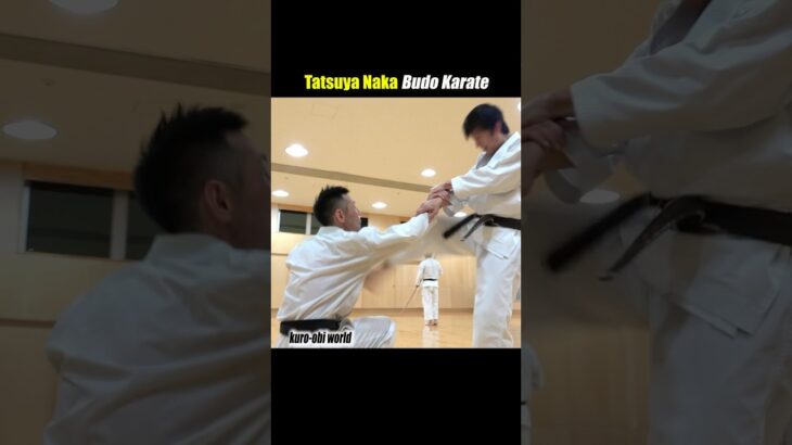 This is the original way of fighting in karate!