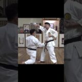 Traditional Okinawa karate training