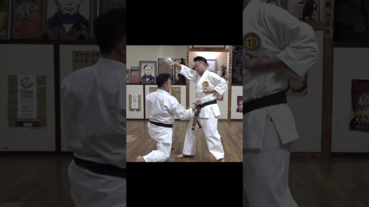 Traditional Okinawa karate training