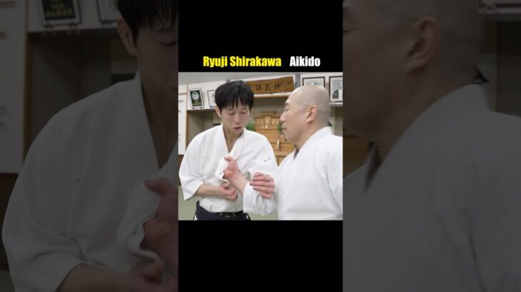 You can’t grab the aikido master! You’ll be in big trouble.