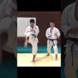 Pull back your front kick and punch!【Budo Karate】