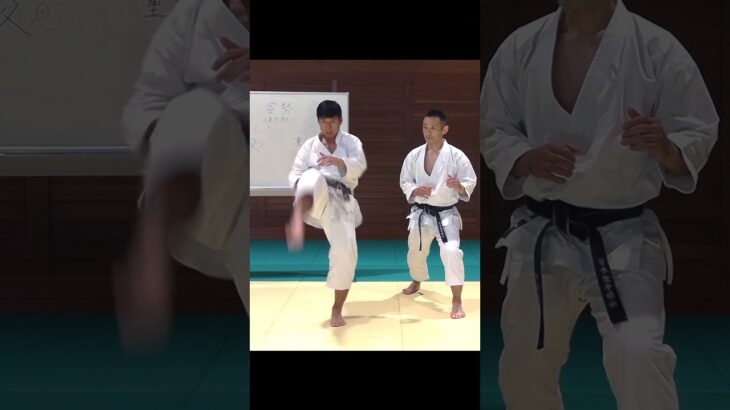 Pull back your front kick and punch!【Budo Karate】