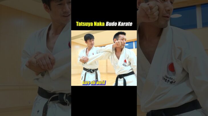 【Budo Karate】Use “kata” to deal with punches and grabs!