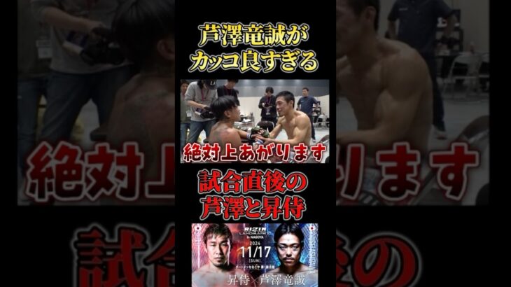 芦澤竜誠が推せる理由 #RIZIN #shorts #ライジン #名古屋大会