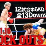 【ダウン・KO集】KNOCK OUTS 24.11.16 Krush.167