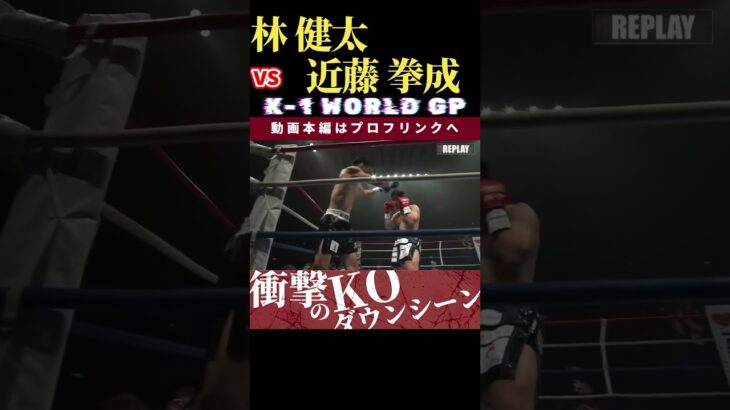 【K-1 WORLD GP 2024】凶拳：林 健太 vs 夢を掴む拳：近藤 拳成　Krush.167 11.16後楽園大会チケット好評発売中！