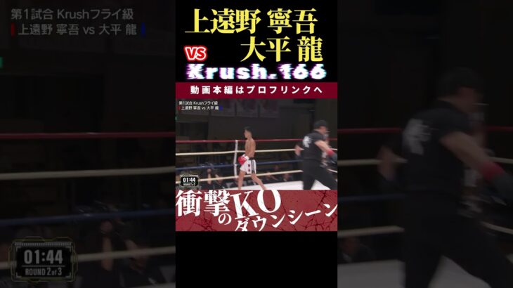 【Krush.166】上遠野 寧吾 vs 大平 龍　Krush.168 11.23名古屋大会チケット好評発売中！