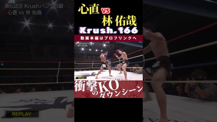 【Krush.166】ミルキーボーイ：心直 vs 林 佑哉　Krush.168 11.23名古屋大会チケット好評発売中！