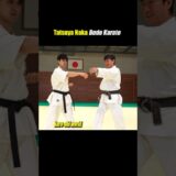 How to use your hips for high-speed hitting【Budo Karate】