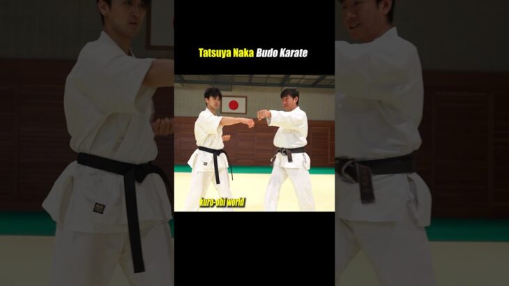 How to use your hips for high-speed hitting【Budo Karate】