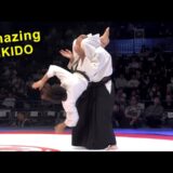 Amazing Aikido in JAPAN MARTIAL ARTS EXPO