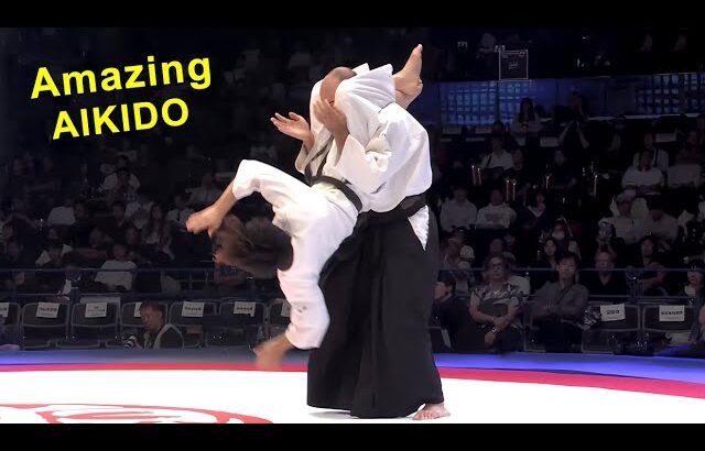 Amazing Aikido in JAPAN MARTIAL ARTS EXPO