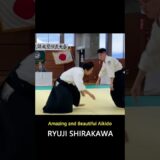 Dangerous and beautiful aikido master throws