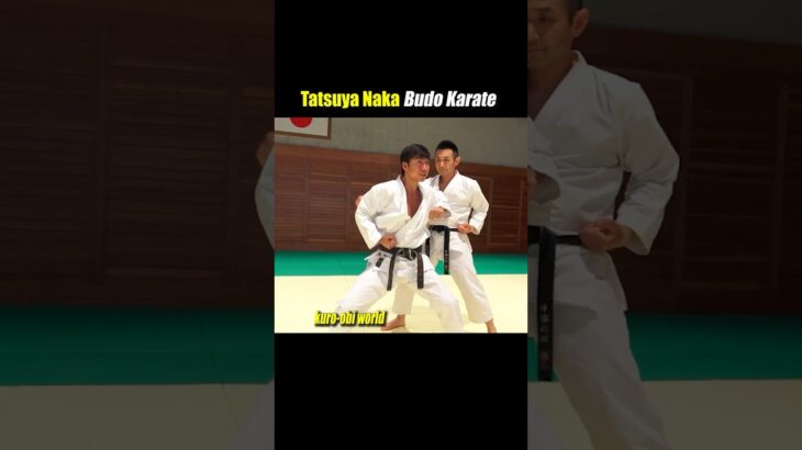 Elbow attack in Kata Fight!