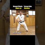 Why punch diagonally? [Wado-ryu Karate]