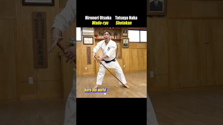 Why punch diagonally? [Wado-ryu Karate]