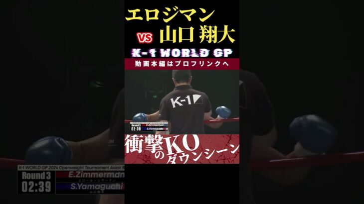 【K-1 WORLD GP 2024】The Bonecrusher：エロール・ジマーマン vs 最強の侵略者：山口 翔大　Krush.167 11.16後楽園大会チケット好評発売中！