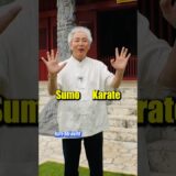 【Sumo and Karate】The open hand is different!