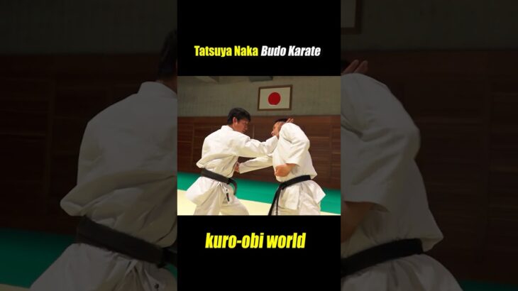 Strike and throw! How to use kata in a fight【Budo Karate】