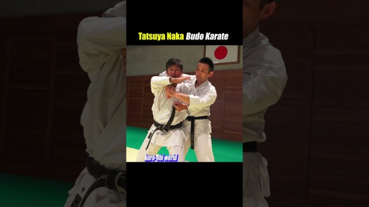 Self-defense when you are grabbed from behind【Budo Karate】