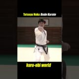 How to use your feet to strike a strong tsuki.【Budo Karate】