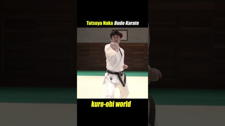 How to use your feet to strike a strong tsuki.【Budo Karate】