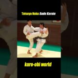 How to use your hand knife in kata【Budo Karate】