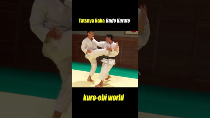 How to use your hand knife in kata【Budo Karate】