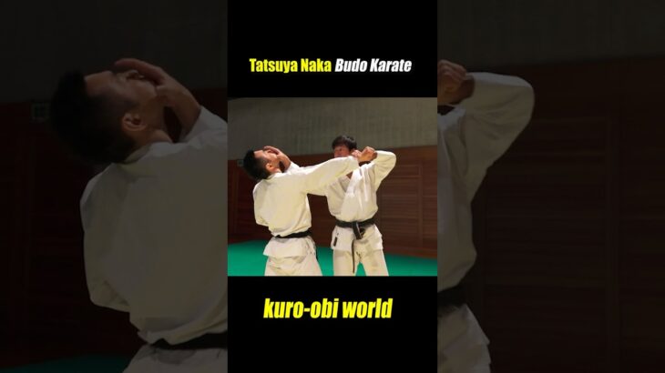 Karate method : Hit your opponent’s eyes with your fingers!