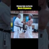 Okinawa Karate!