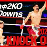 【ダウン・KO集】KNOCK OUTS 24.12.8 Krush.169