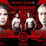 期間限定！【安保瑠輝也vsスダリオ剛】試合フル映像/大晦日対抗戦特別企画！