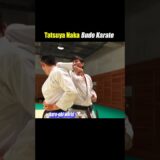 Spinning elbow strike!【Budo Karate】