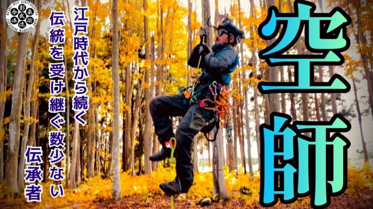 伝統を受け継ぐ【空師】とは？日本に数少ない空師の技術❗️【特殊伐採】と木の情報を取る調和の世界