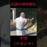 音速を破る炸裂音！琉球秘伝の突き！ナカジチ