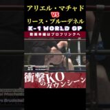 【K-1 WORLD GP 2024 in TOKYO～FINAL～】ブラジルの重戦車：アリエル・マチャド　vs　ロンドンのKOコング：リース・ブルーデネル