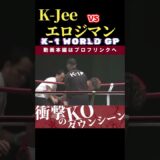 【K-1 WORLD GP 2024 in TOKYO～FINAL～】火の国から来た巨星：K-Jee　vs　The Bonecrusher：エロール・ジマーマン