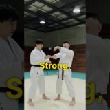 Why does this make you stronger?【Budo Karate】