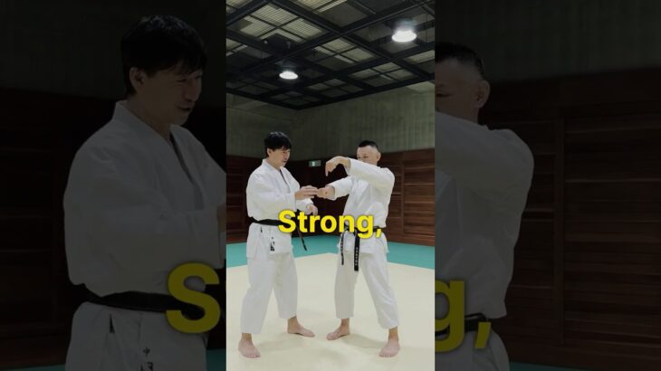 Why does this make you stronger?【Budo Karate】