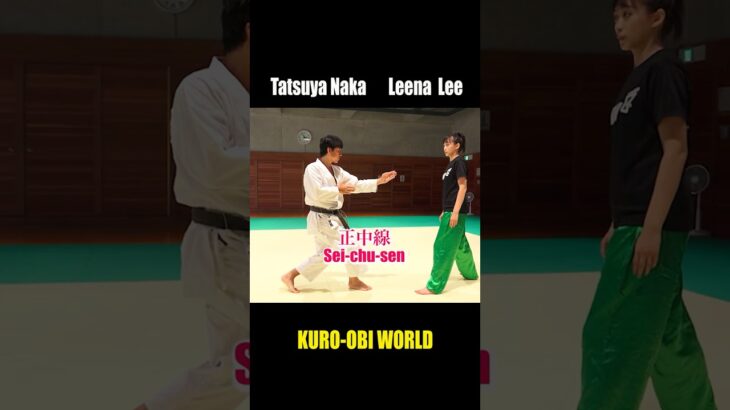 Kung-fu Lady and Karate Master : Why does a punch from a distance work?