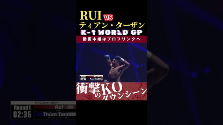 【K-1 WORLD GP 2024 in TOKYO～FINAL～】進撃のヒザ蹴り：RUI vs 四角いジャングルの王：ティアン・ターザン