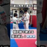 パンチのガードはこれをやれ#空手#shorts #karate