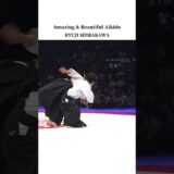 Amazing and Beautiful Aikido