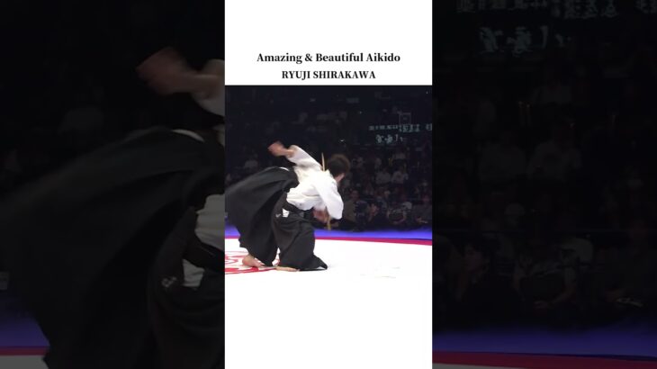 Amazing and Beautiful Aikido