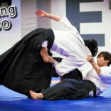 [Amazing Aikido] Ryuji Shirakawa – Beautiful Aikido Festival in Hungary