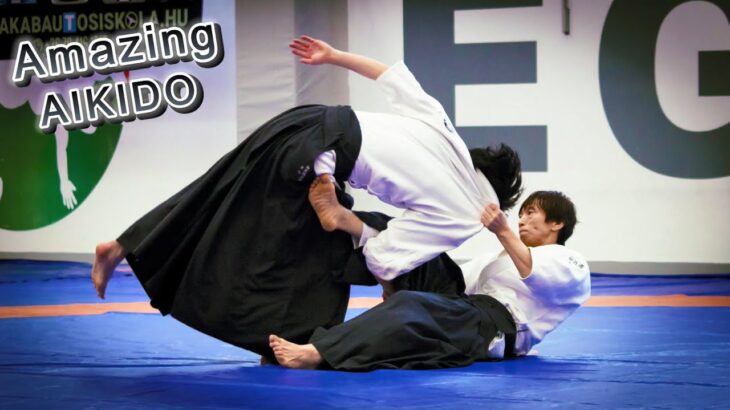 [Amazing Aikido] Ryuji Shirakawa – Beautiful Aikido Festival in Hungary