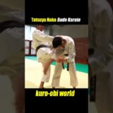 Self-defense techniques using Karate