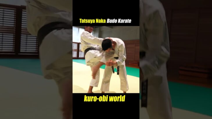 Self-defense techniques using Karate